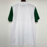 2025-26 Palmeiras Away 1:1 Fans Soccer Jersey