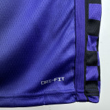 2023-24 Kings LAVINE #8 Purple Top Quality Hot Pressing NBA Jersey (Trapeze Edition)飞人版