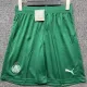 2025-26 Palmeiras Away Shorts Pants