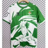 2025-26 Real Betis Special Edition Fans Soccer Jersey