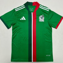2025-26 Mexico Green Special Edition Fans Soccer Jersey