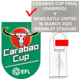 2024-25 Newcastle Home 1:1 Fans Soccer Jersey