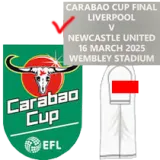 2024-25 Newcastle Home Player Version Soccer Jersey