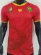 2025-26 Cameroon Away Player Version Soccer Jersey