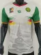 2025-26 Cameroon Third Player Version Soccer Jersey