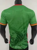 2025-26 Cameroon Home Player Version Soccer Jersey
