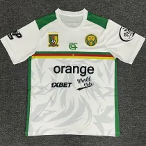 2025-26 Cameroon White Training shirts