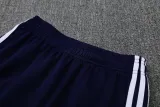 2025 AD Fancy blue Jacket Tracksuit #2315