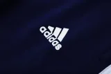 2025 AD Fancy blue Jacket Tracksuit #2315