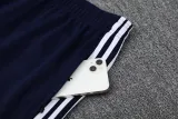 2025 AD Lake blue Jacket Tracksuit #2314