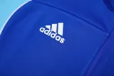 2025 AD Fancy blue Jacket Tracksuit #2315