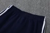 2025 AD Lake blue Jacket Tracksuit #2314