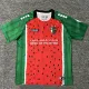 2025-26 Deportivo Palestino Third Fans Soccer Jersey