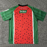 2025-26 Deportivo Palestino Third Fans Soccer Jersey
