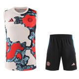 2025-26 Bayern Khaki Tank top and shorts suit