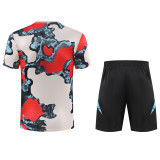 2025-26 Bayern Khaki Training Short Suit