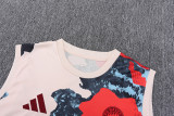 2025-26 Bayern Khaki Tank top and shorts suit