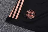 2025-26 Bayern Khaki Tank top and shorts suit
