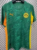 2025-26 Dortmund Special Edition Green Fas Soccer Jersey