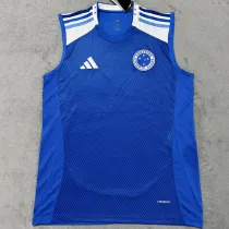 2025-26 Cruzeiro Home Vest
