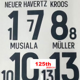 2024-25 Germany Blue 125th Anniversary 1:1 Fans Soccer Jersey