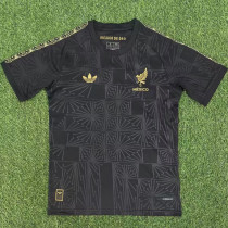 2025-26 Mexico Black Training Shirts