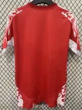 2024-25 Man Utd Red Special Edition Fans Training shirts