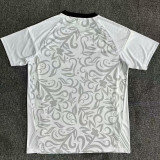 2025-26 Benfica Special Edition White Training shirts