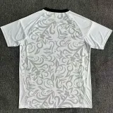 2025-26 Benfica Special Edition White Training shirts