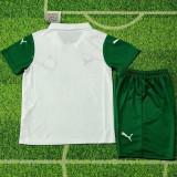 2025-26 Palmeiras Away Kids Soccer Jersey