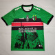 2022-23 Deportivo Palestino Green Special Edition Fans Soccer Jersey