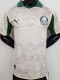 2025-26 Palmeiras Third Player Version Soccer Jersey
