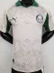 2025-26 Palmeiras Third Player Version Soccer Jersey
