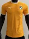 2024-25 Ivory Coast Orange Special Edition Player Version Training Shirts