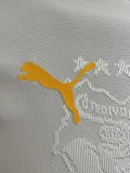 2024-25 Ivory Coast White Special Edition Player Version Training shirts