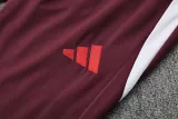 2025-26 Bayern Brown Red Polo Tracksuit