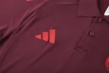 2025-26 Bayern Brown Red Polo Tracksuit