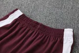 2025-26 Bayern Brown Red Polo Tracksuit