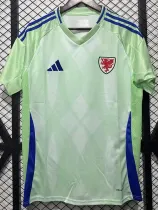 2025-26 Wales W Away Fans Soccer Jersey