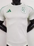 2025-26 Algeria Light Green Player Version Training shirts #A38淡绿