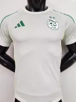 2025-26 Algeria Light Green Player Version Training shirts #A38淡绿