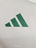 2025-26 Algeria Light Green Player Version Training shirts #A38淡绿