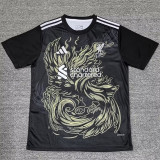 2025-26 LIV Black Special Edition Fans Training shirts (纯黑袖)