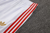 2025-26 Bayern White Half Pull Tracksuit #B2520(半拉链)