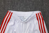 2025-26 Bayern White Half Pull Tracksuit #B2520(半拉链)