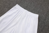 2025-26 Bayern White Half Pull Tracksuit #B2520(半拉链)