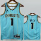 2024-25 Hornets BALL #1 Blue City Edition Top Quality Hot Pressing NBA Jersey(V领)