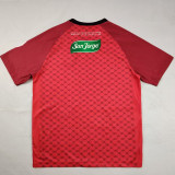 2025-26 Deportivo Palestino Red Special Edition Fans Soccer Jersey