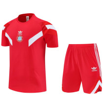 2025-26 Bayern Red Training Short Suit