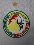2024-25 Senegal Home Player Version Soccer Jersey (带星)